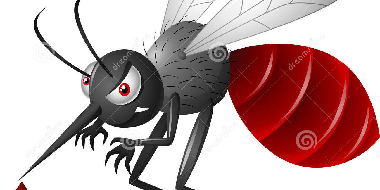 angry-mosquito-cartoon-white-background-illustration-55877463-1