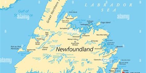 nfld